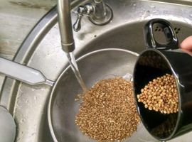 How much to steam buckwheat without boiling?